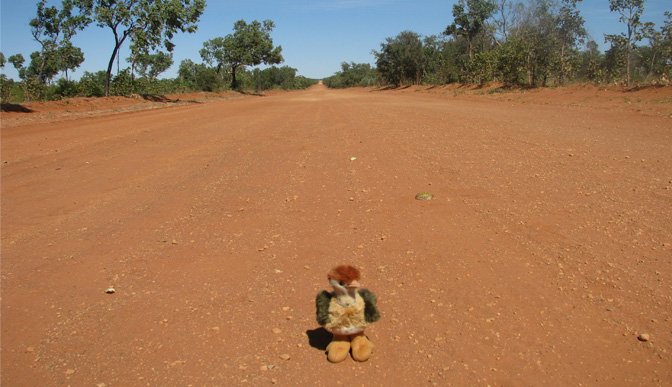 Emu auf Australientour