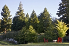 Ruapehu Country Lodge
