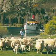 Faszination Neuseeland